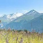 © Champs de fleurs au départ de Aussois Plan de la Croix - OTHMV - R. Salles