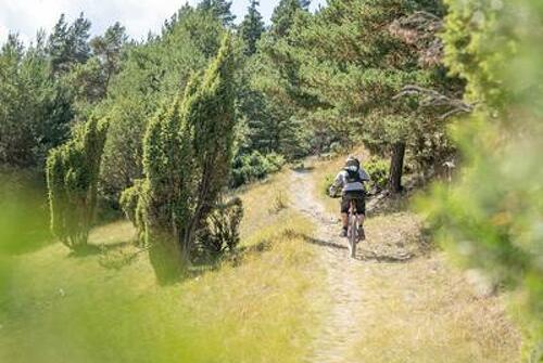 Cross-country : Le Grand Cerf