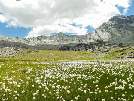 Tour pédestre de la roche d'Etache en 3 jours - Etape 2 - Du refuge d'Ambin au refuge du Suffet