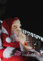 Un réveillon féérique