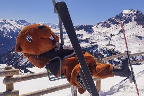 Marmot'Oé show