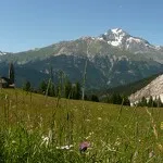 © savoie-parc-national-vanoise - Ingrid Pauwels-Etiévant