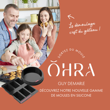 Home Sales - guy Demarle