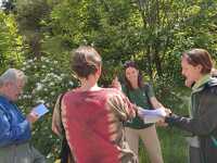© Sortie Plantes et énergétique chinoise à Aussois - Marion Lett
