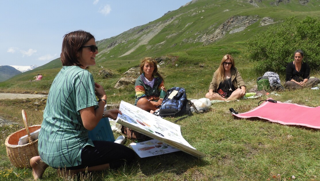 © Sortie Plantes et énergétique chinoise à Aussois - Marion Lett