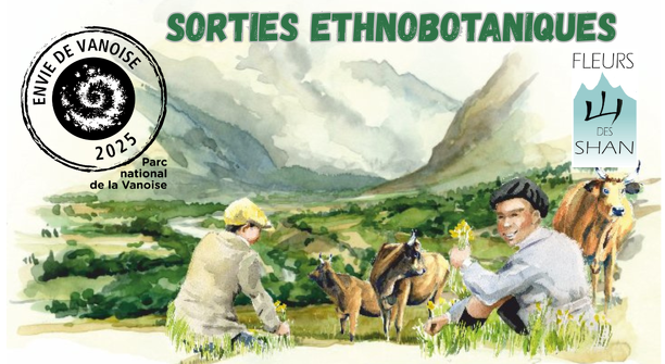 Sortie ethnobotanique