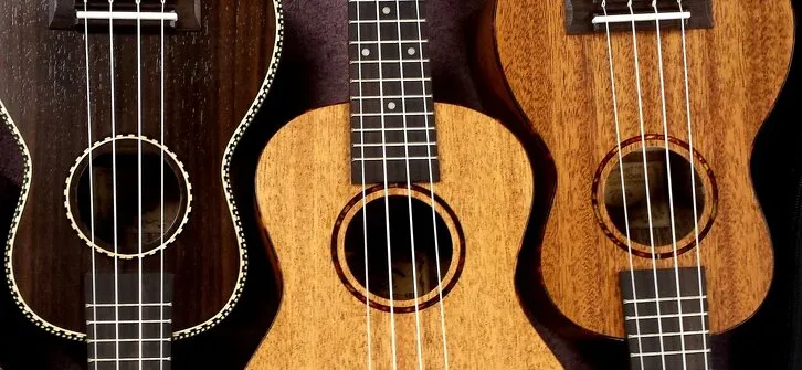 Make your own ukulele and learn how to play it