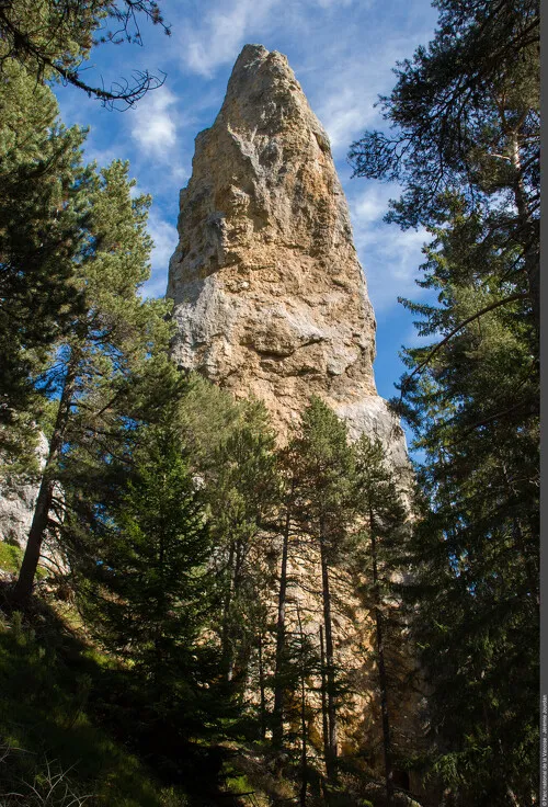 Les secrets de la forêt du Monolithe