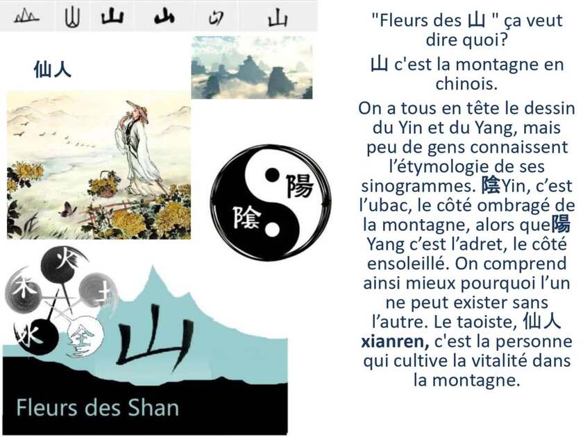 © Méditation Taoïste avec Fleurs des Shan - Marion Lett