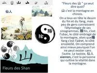 © Taoist meditation with Fleurs des Shan - Marion Lett