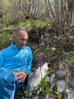 © Randonnée à la découverte des plantes avec Thierry Bardagi - Thierry Bardagi