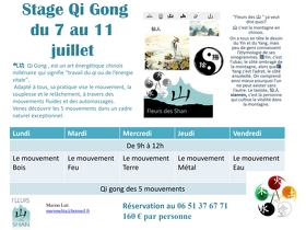 Stage de Qi Gong à la Bessanaise