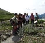 © Sortie ethnobotanique à Aussois - Marion Lett