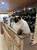 © Magasin Léon Sports à Aussois - Mag-Aussois