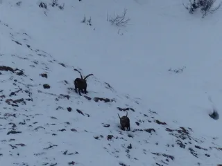 © Raquettes à neige : Nuitée en refuge gardé dans le Parc national de la Vanoise_Aussois - Thierry Bardagi