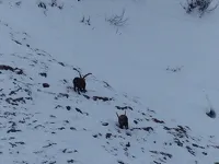 © Raquettes à neige : Nuitée en refuge gardé dans le Parc national de la Vanoise_Aussois - Thierry Bardagi