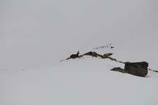 © Raquettes à neige : Nuitée en refuge gardé dans le Parc national de la Vanoise_Aussois - Thierry Bardagi