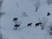 © Raquettes à neige : Nuitée en refuge gardé dans le Parc national de la Vanoise_Aussois - Thierry Bardagi