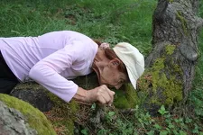 Wellness and Therapeutic Walking_Aussois - Thierry Bardagi