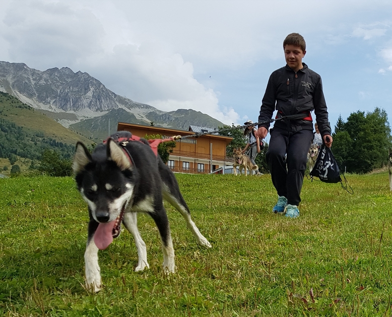 © Cani-rando à Aussois - Husky Adventure