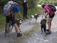 © Cani-randonnée avec Husky Adventure à Aussois - Husky Adventure