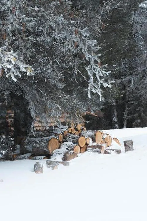 Itinéraire piéton raquettes  : La Croix d'Aussois