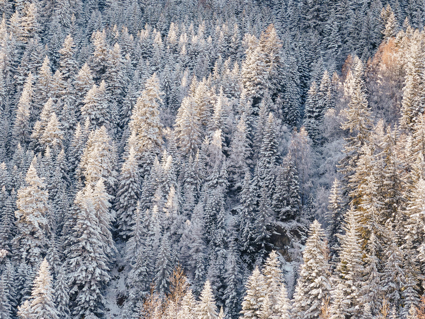 © Itinéraire piéton raquettes  : Du Moulin au Viguet_Aussois - OTHMV - B Thomas