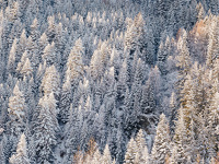 © Itinéraire piéton raquettes  : Du Moulin au Viguet_Aussois - OTHMV - B Thomas