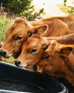 © Festival Camp de base Aussois_Aussois - OTHMV