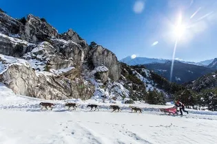 23ème édition de La Grande Odyssée Royal Canin en Haute Maurienne Vanoise