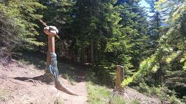 © Sculpture en bois - K.Mandray