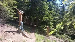 © Sculpture en bois - K.Mandray