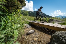 © Vttiste sur petit pont en bois - A Pernet