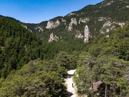 VTT Cross-country : Le Grand Cerf