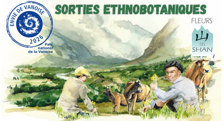 © Sortie ethnobotanique à Aussois - Marion Lett