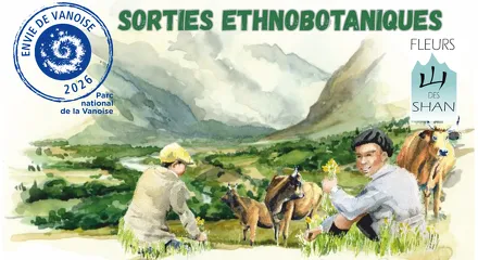 © Sortie ethnobotanique à Aussois - Marion Lett