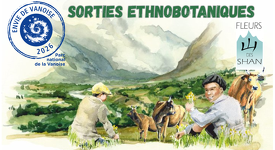 © Sortie ethnobotanique à Aussois - Marion Lett