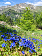 © Rando sportive : la crête des Sarrasins - Festival Camp de base_Aussois - OTHMV