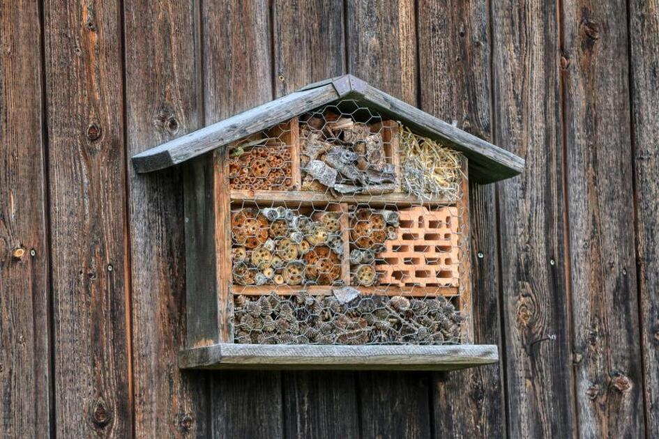 © atelier fabrication d'hôtel à insectes - Festival Camp de Base_Aussois - pixabay