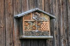 © atelier fabrication d'hôtel à insectes - Festival Camp de Base_Aussois - pixabay