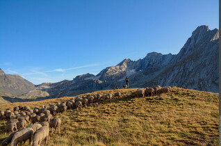 Rencontres pasto