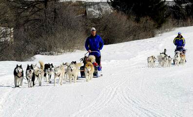 © Husky Adventure Caron Christophe - Ecole de traineau à chiens à Aussois - MO - Caron Christophe - OT AUSSOIS