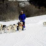 © Husky Adventure Caron Christophe - Ecole de traineau à chiens à Aussois - MO - Caron Christophe - OT AUSSOIS