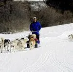 © Husky Adventure Caron Christophe - Ecole de traineau à chiens à Aussois - MO - Caron Christophe - OT AUSSOIS