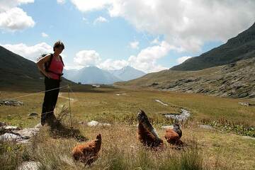 © aussois-vallon-fond-aussois - MO. OT AUSSOIS