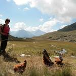 © aussois-vallon-fond-aussois - MO. OT AUSSOIS